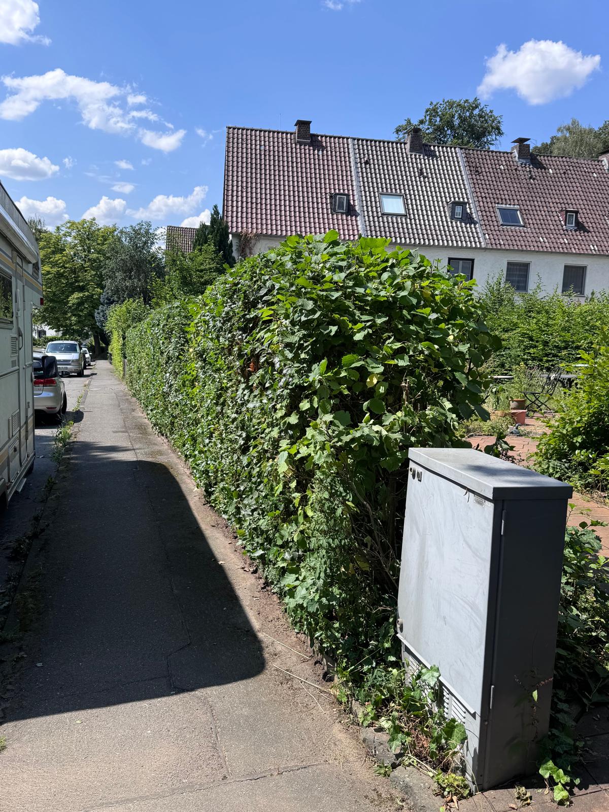 Hecke nach dem Schnitt – sauber geformt durch Steimker Objektpflege Wolfsburg